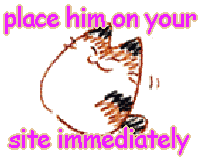 A picture with low res cat and with text 'Place him on your site immediately'